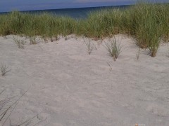 2015-06-21 15.56.57