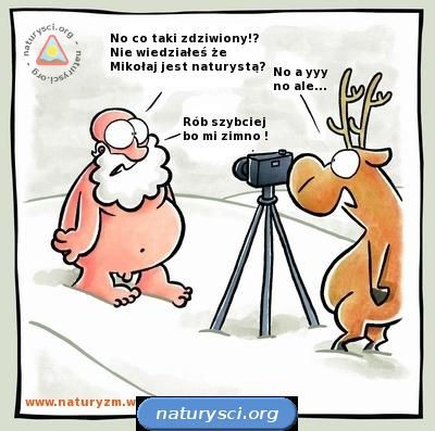 Mikołaj naturysta