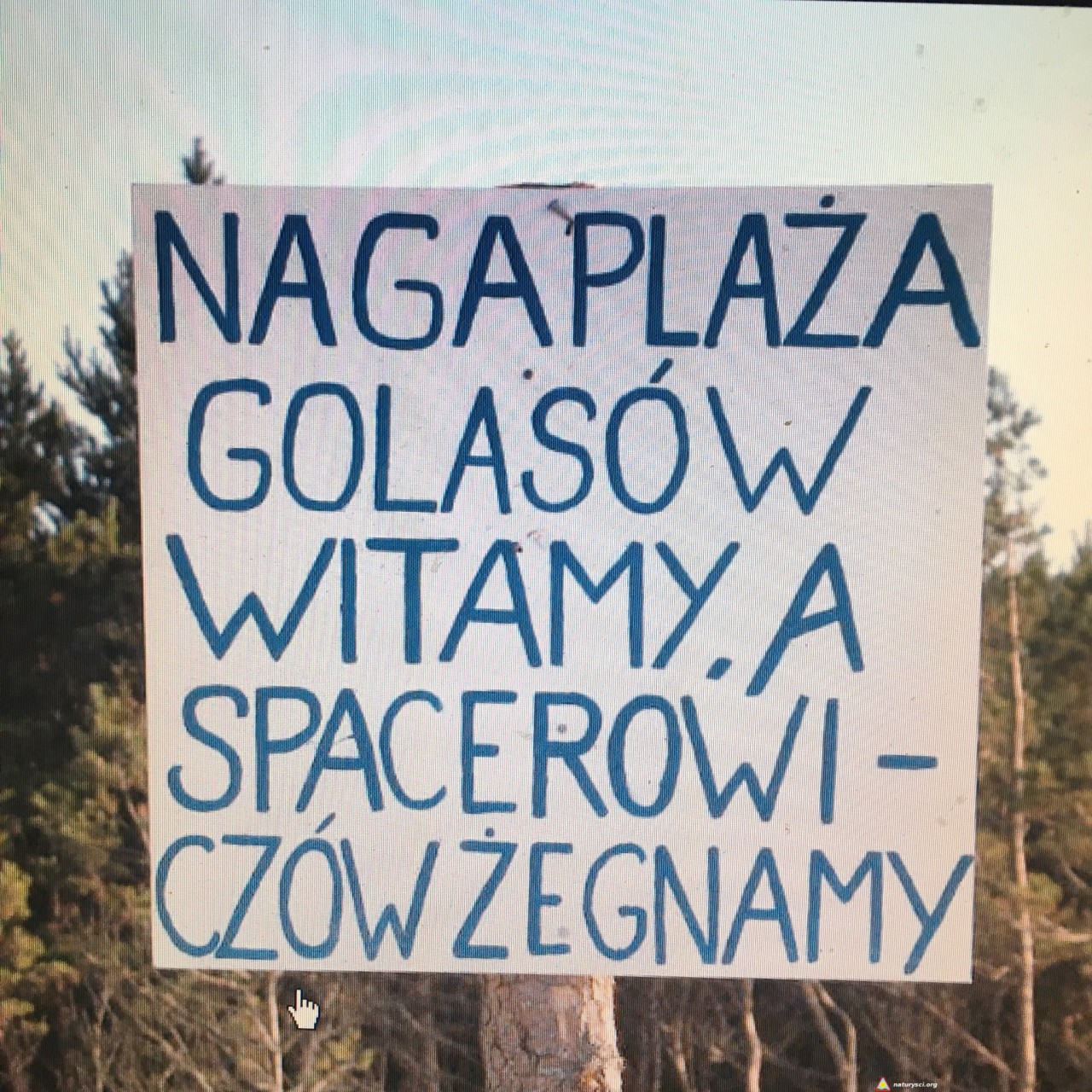 38ADD7DC-A543-4C98-A9D7-200F7D1388F6