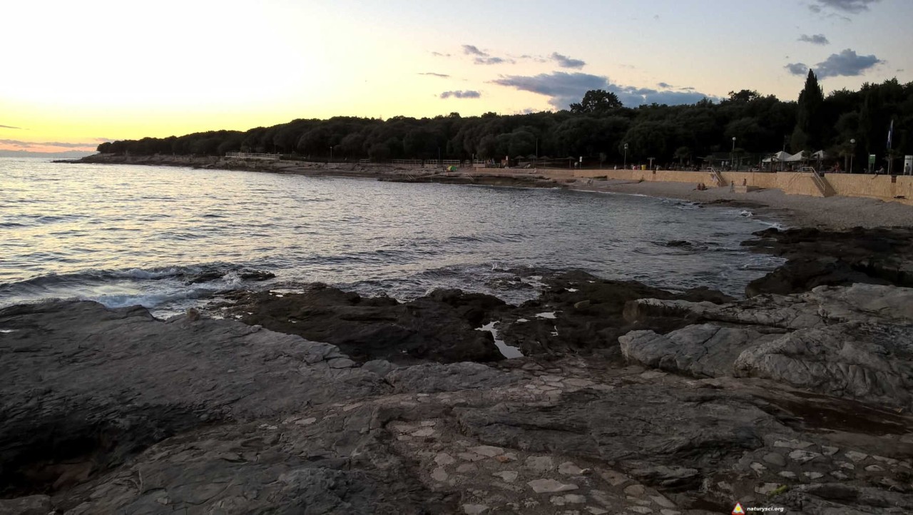 WP_20160822_20_06_15_Pro