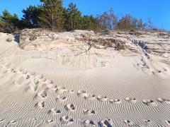 Ktoś u jednak oprócz nas był