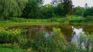 Small lake
