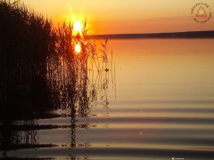 IMG_20170816_054137
