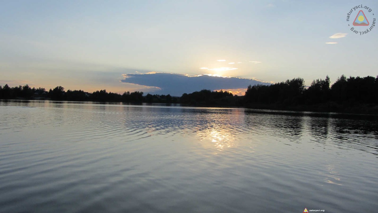 Półmrok 