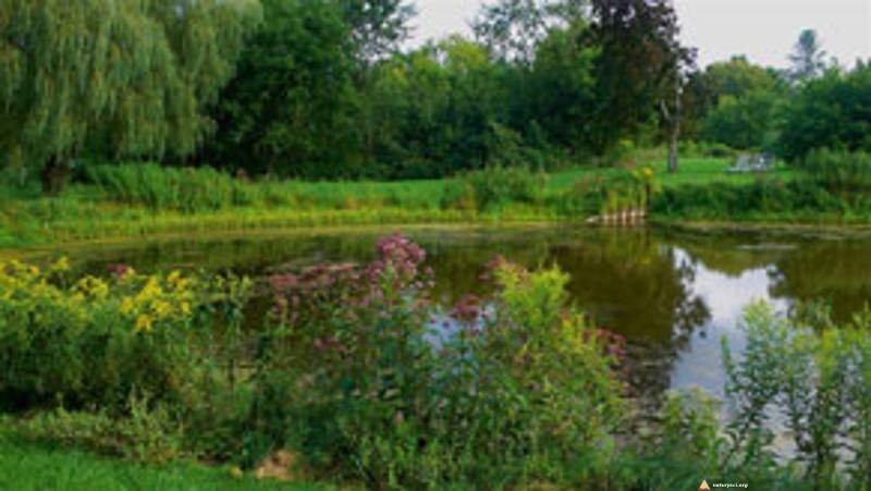 Small lake