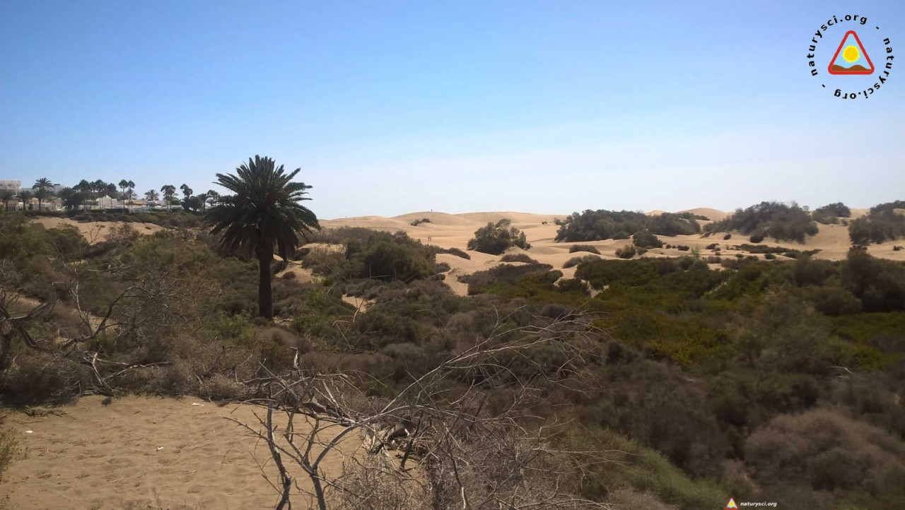 WP_20160901_11_50_28_Pro