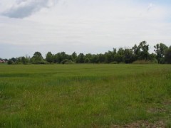 Trestno Wrocław. Widok okolicy plaży naturystycznej 2011.
