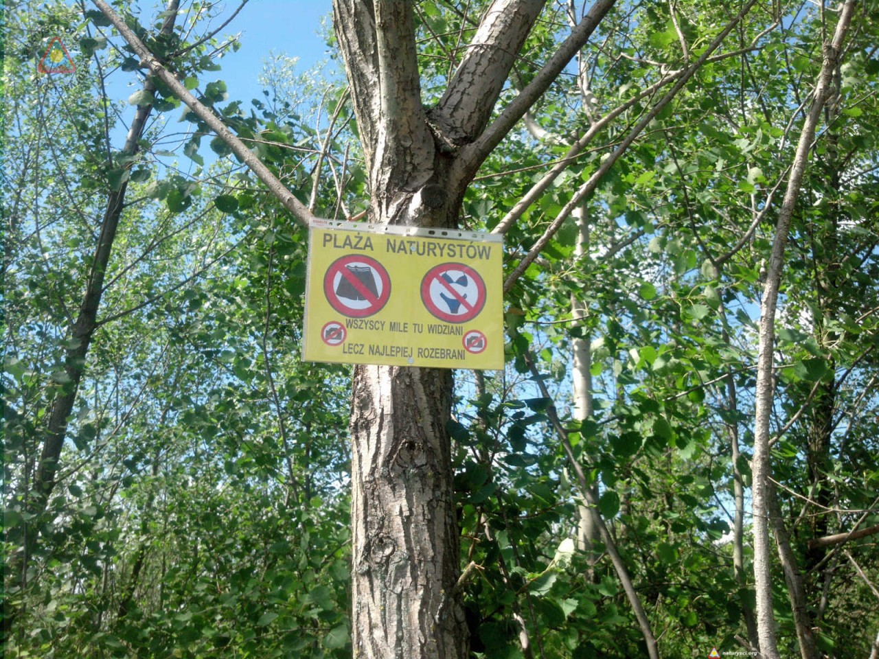 Naga plaża Paczków - Jezioro Paczkowskie
