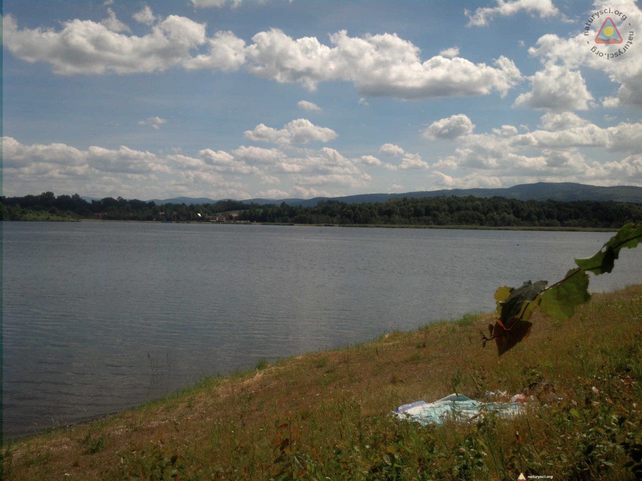 Naga plaża Paczków - Jezioro Paczkowskie
