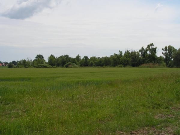 Trestno Wrocław. Widok okolicy plaży naturystycznej 2011.