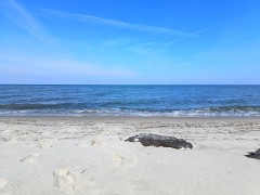 Miejsce gdzie straciliśmy nasze tekstylne dziewictwo