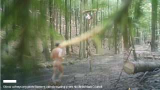Nagi mężczyzna biegał po lesie. Uchwyciły go fotopułapki leśników.