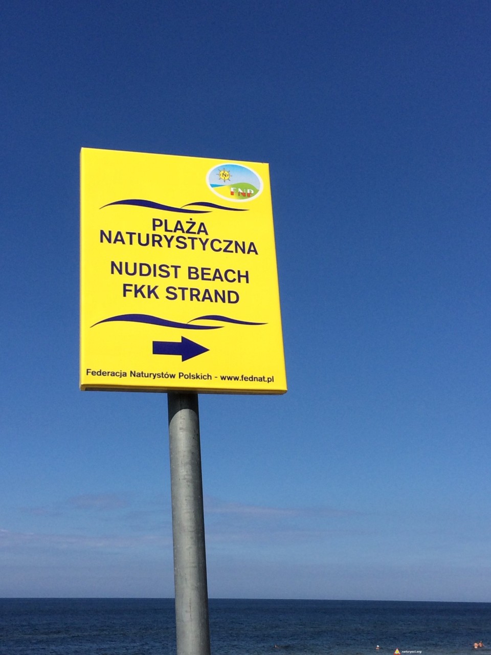 6D0E3D38-4F62-4E8F-A448-AE1FEA35583E