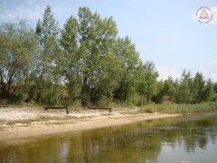 Duże Dzierżno- widok z wody