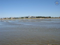 DSC06185