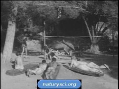Retro naturyzm 2. Stare czarno białe zdjęcie naturystów, wypoczywających na plaży.