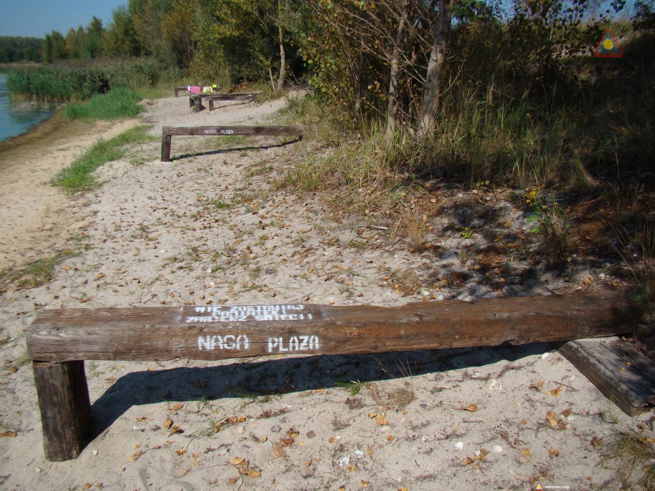 Duże Dzierżno - ławki