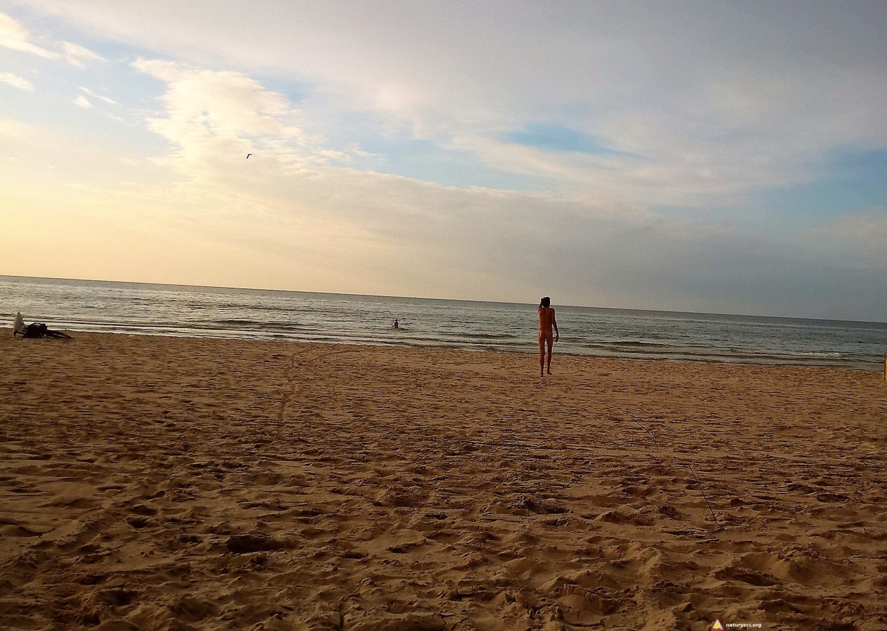 WP_20170728_19_31_41_Pro