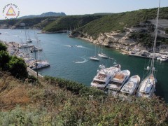 IMG_1387