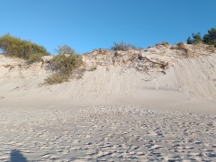 Piękna szeroka plaża