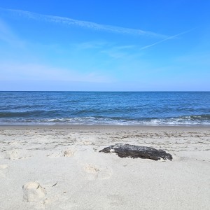 Miejsce gdzie straciliśmy nasze tekstylne dziewictwo