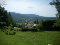DSCN1626
