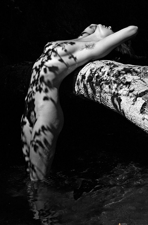 Cień od liści. Naga dziewczyna stojąca po kolana w wodzie, oparta o konar drzewa na którą padają cienie z gałęzi