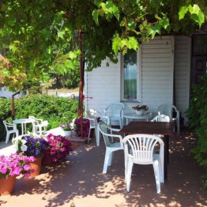  Urlop - blyszczyk photo 2016-12-11-6 Do naszej plaży tylko 2 km