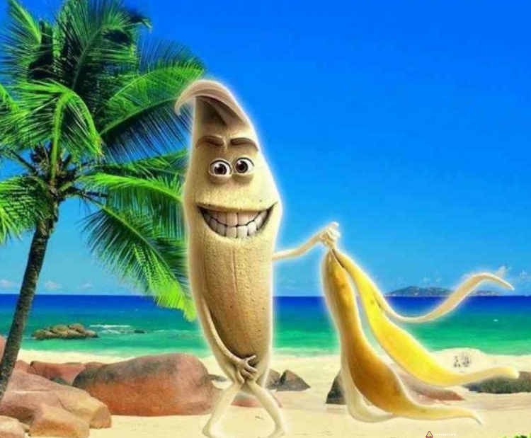 Hangin' Loose