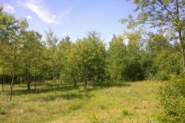 Piętnastki - łąka naturystyczna Łódź/Zgierz